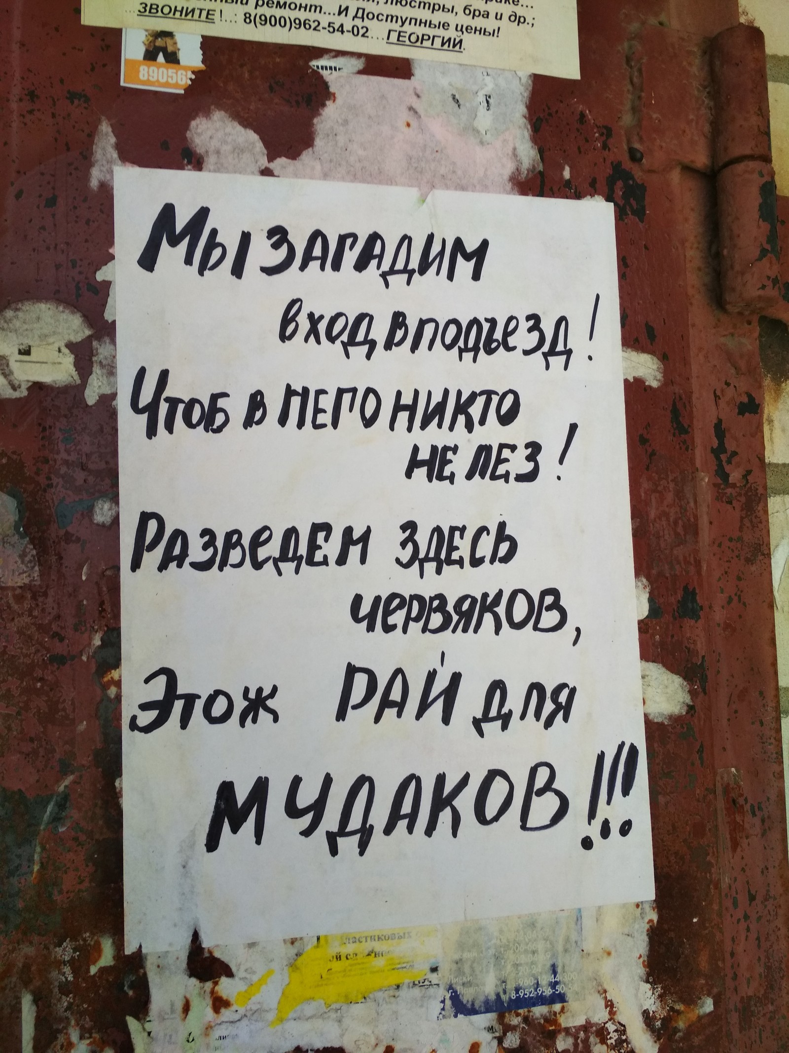 Когда живёшь в одном подъезде со свиньями. - Моё, Соседи, Свинство, Воронеж, Длиннопост