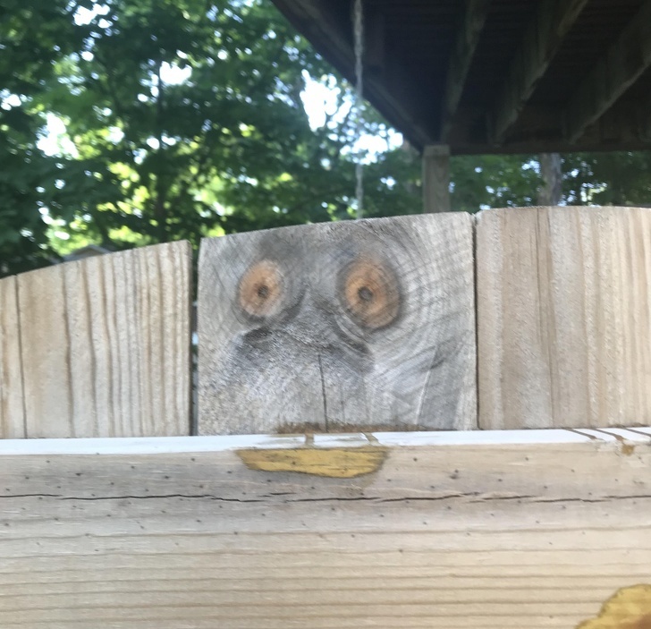 After this post, you will begin to take a closer look at the objects around you. - Humor, Pareidolia, Items, Imagination, Longpost