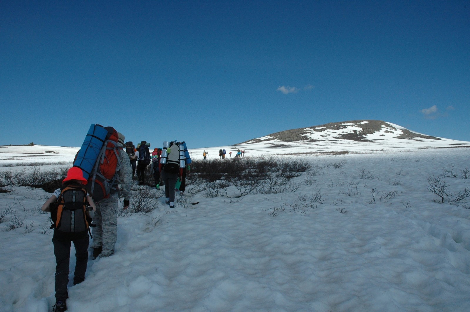 Mysteriously beautiful Altai - Nature, Mountain Altai, Dreams Come True, Longpost, Altai Republic