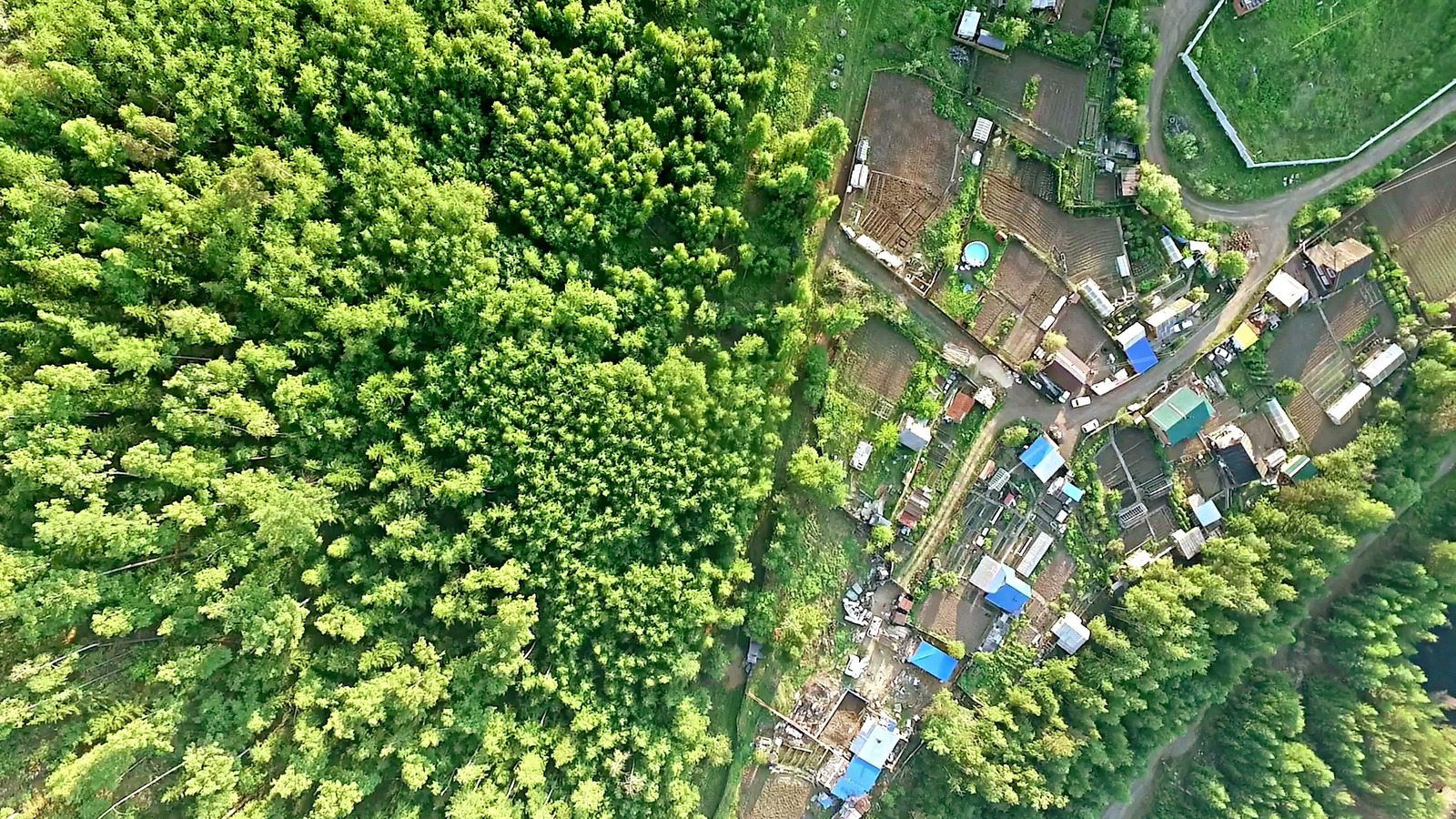 Толстый мыс - Моё, Лето, Зелень, Водохранилище, Усть-Илимск, ГЭС, Фотография, Аэросъемка, Длиннопост