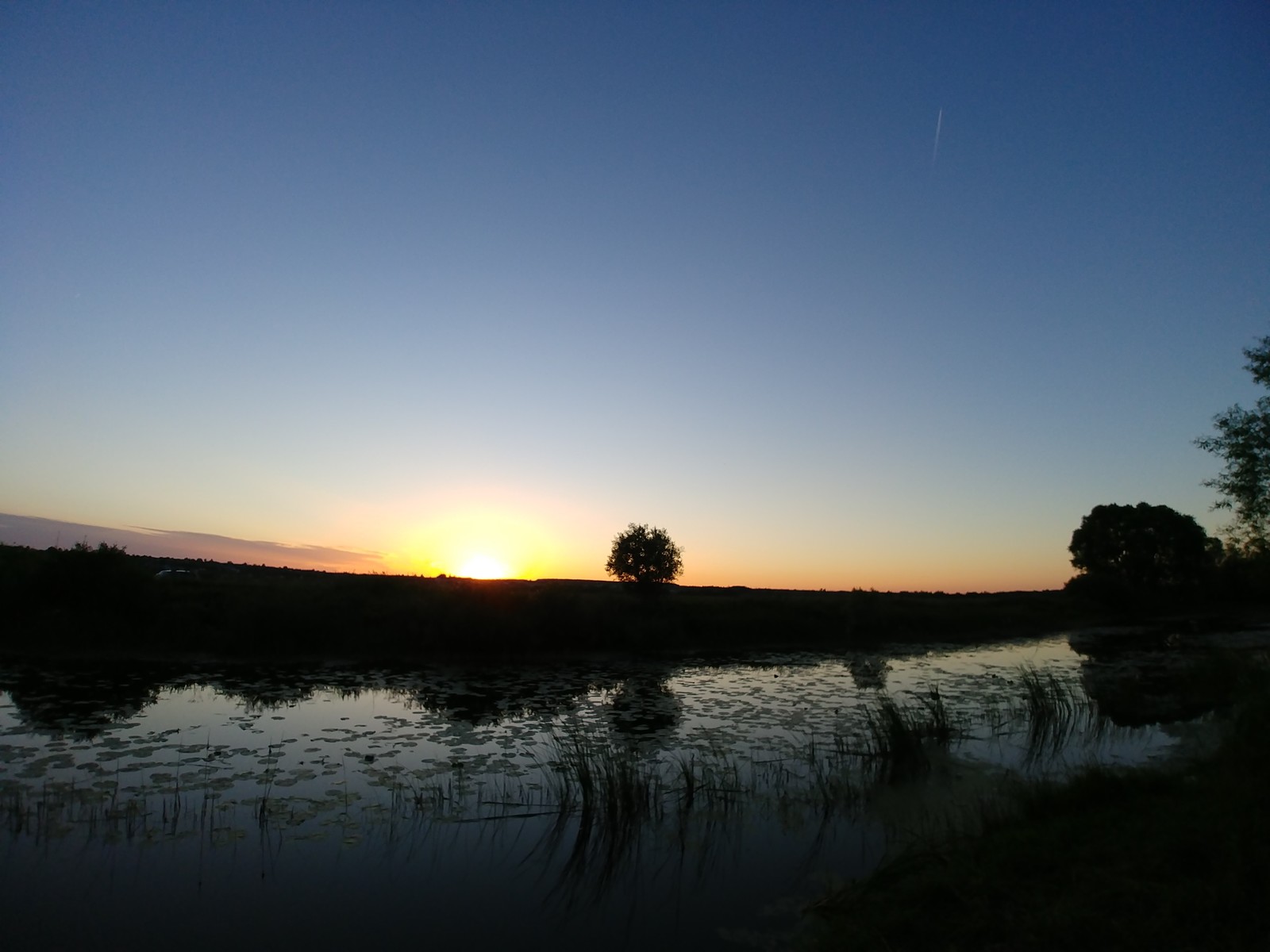 Nature of Voronezh - My, Pond, Nature, Longpost