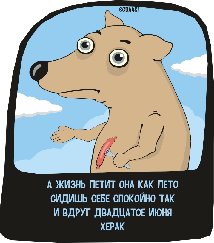 В смысле уже двадцатое?! - Soba4ki, Лето, Время, Жизнь, Собака