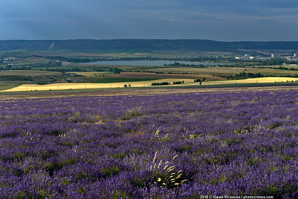 Crimea, lavender and sunset - Crimea, Lavender, , Longpost