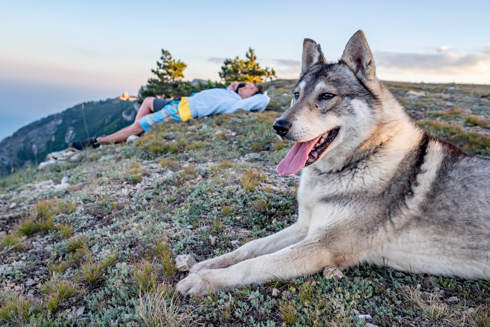 Trekking to Ai-Petri with overnight stay. Crimea. - My, Crimea, Travels, Tourism, The mountains, The photo, Animals, People, Nature, Longpost