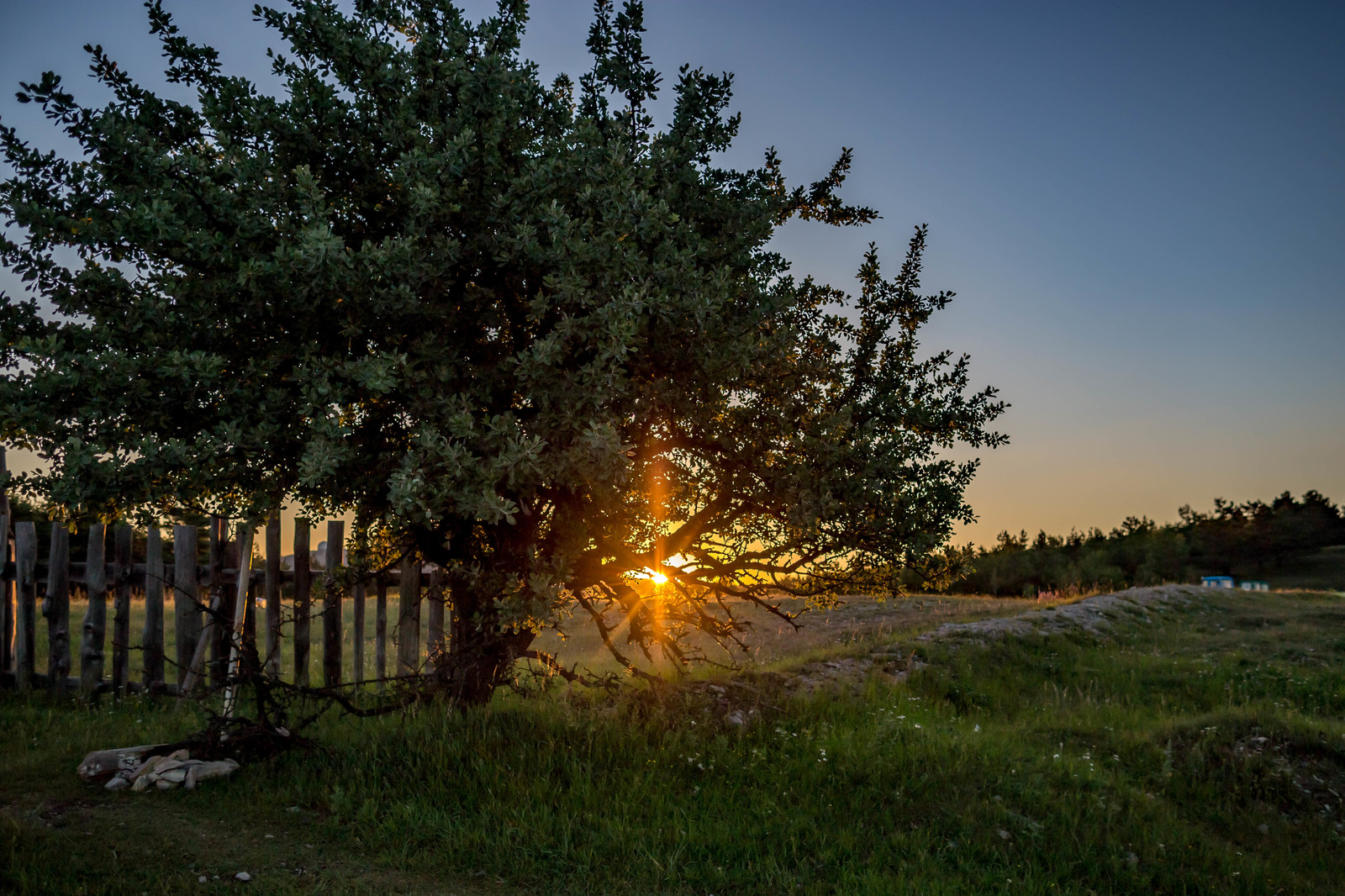 Trekking to Ai-Petri with overnight stay. Crimea. - My, Crimea, Travels, Tourism, The mountains, The photo, Animals, People, Nature, Longpost