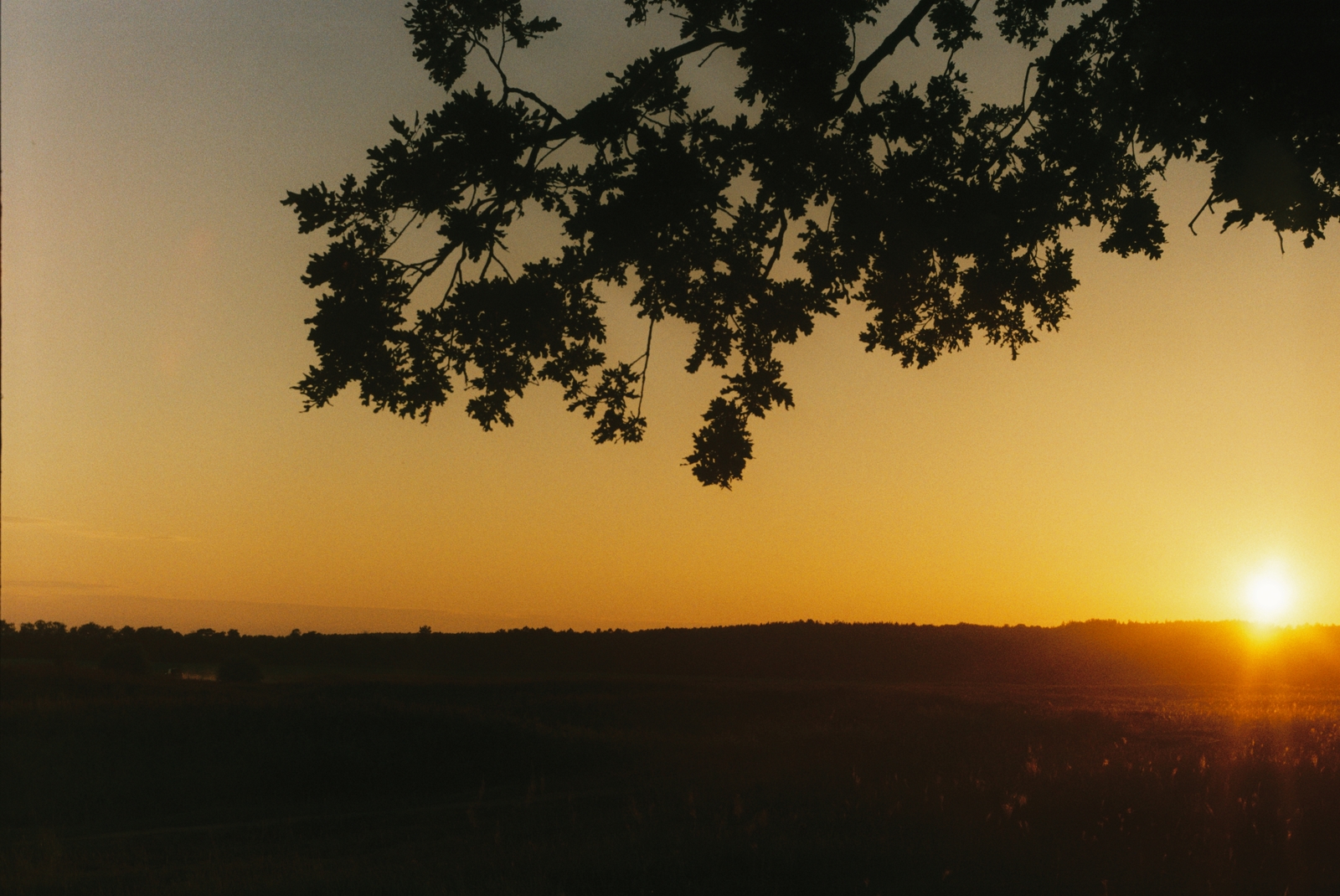 First experience with film - My, The photo, Zenith, Zenit-Et, , camera roll, 35mm, Longpost