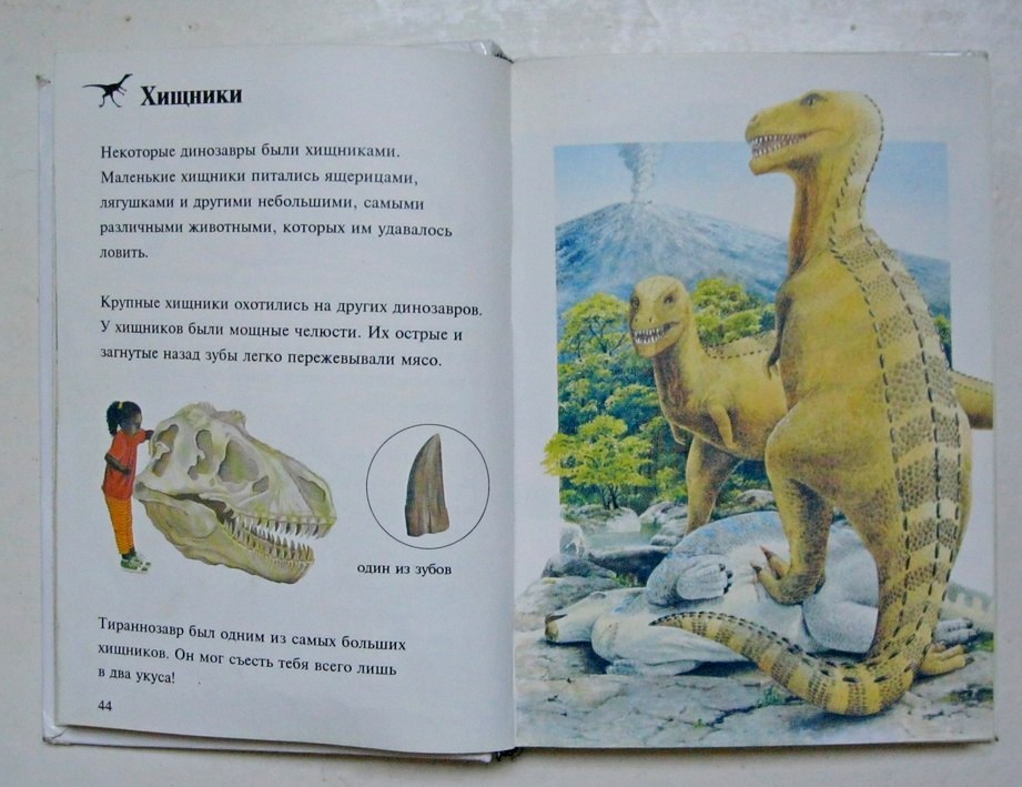 Реферат: История Земли. Доисторические животные - динозавры