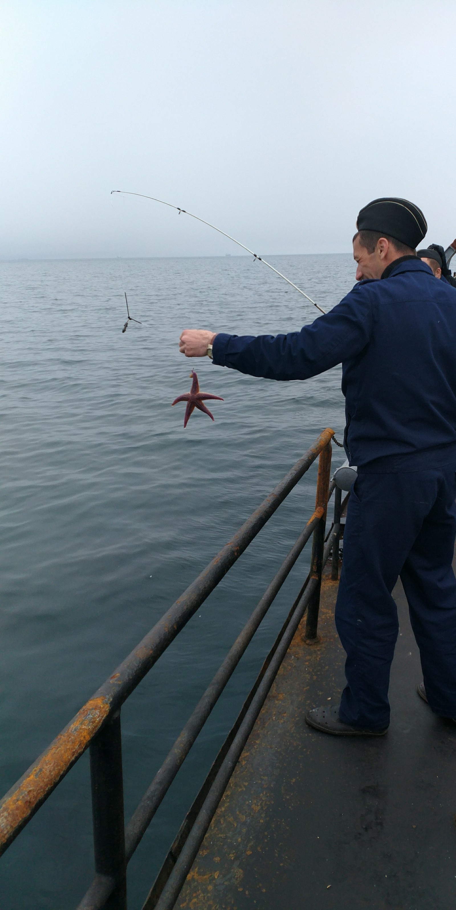 It also happens - My, Fishing, Sea, Longpost, Starfish