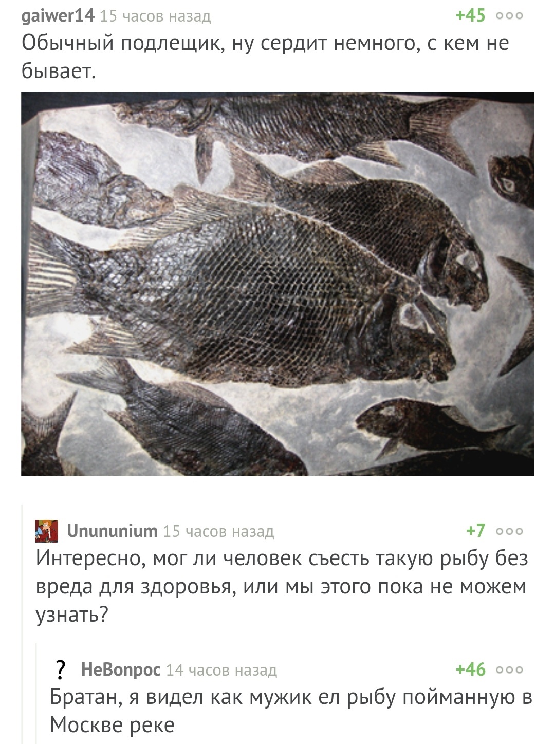 Not all fish are the same - Paleontology, A fish, Comments on Peekaboo