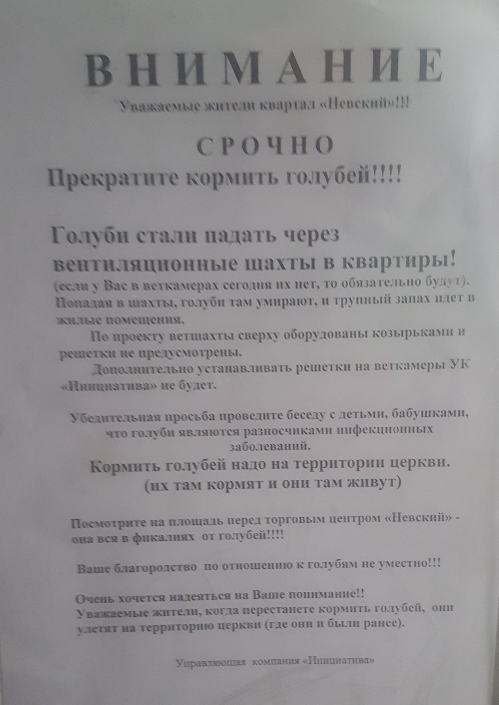 Барнаульские голуби в мкрн Невский - Барнаул, Управляющая компания, Объявление, Голубь