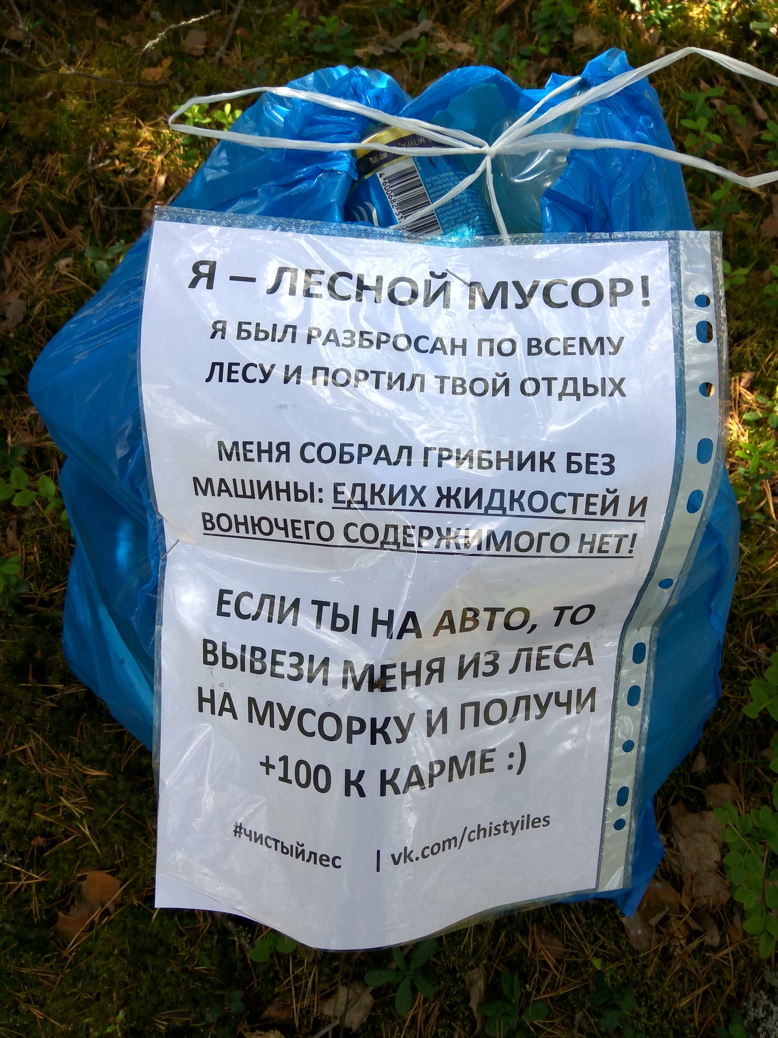 There are no mushrooms, but there is enough garbage - My, Forest, Clean forest, Garbage, Cleaning, Longpost, Chistoman