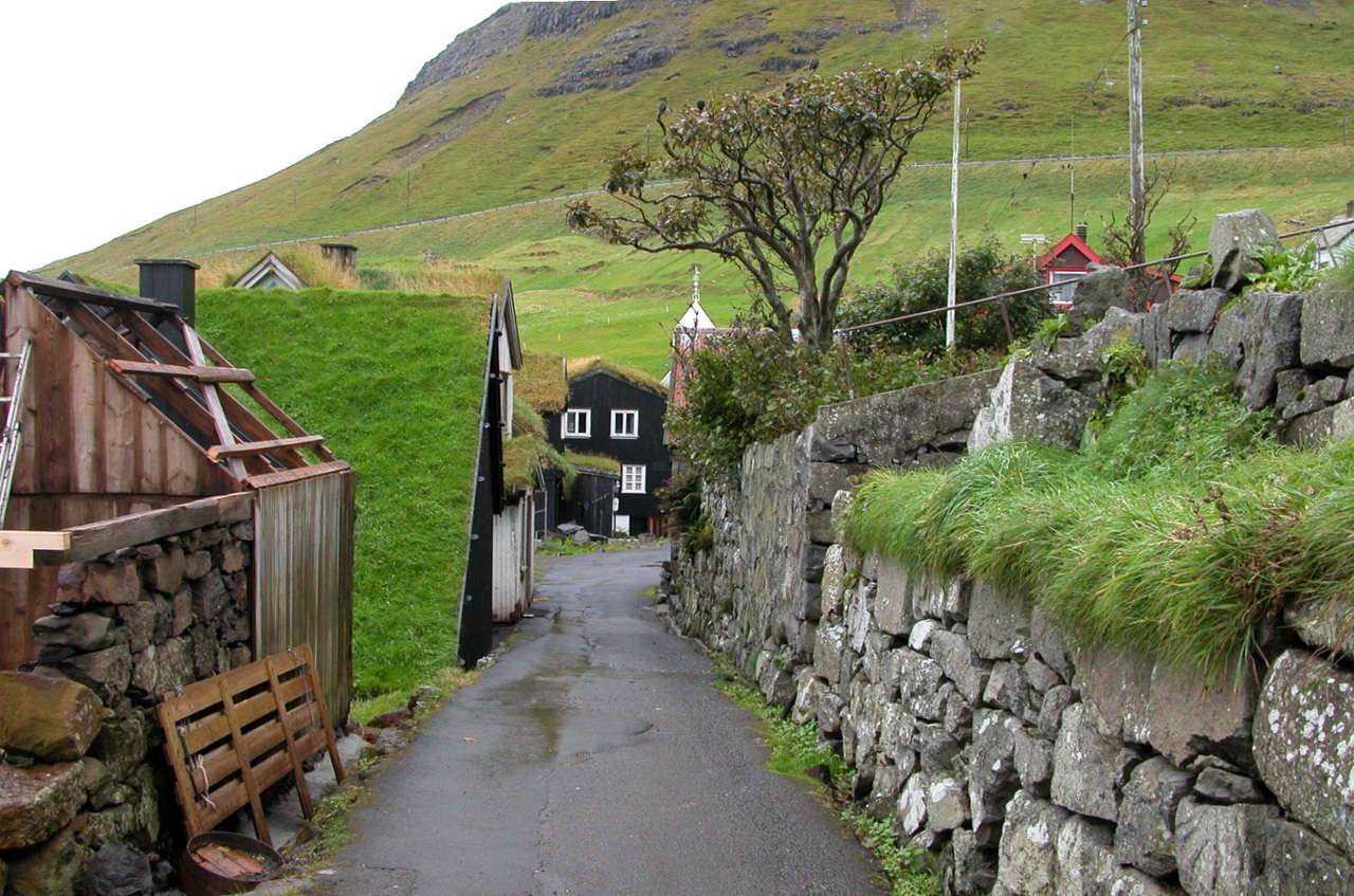 Green roofs of the Faroe Islands - Faroe islands, , , Longpost