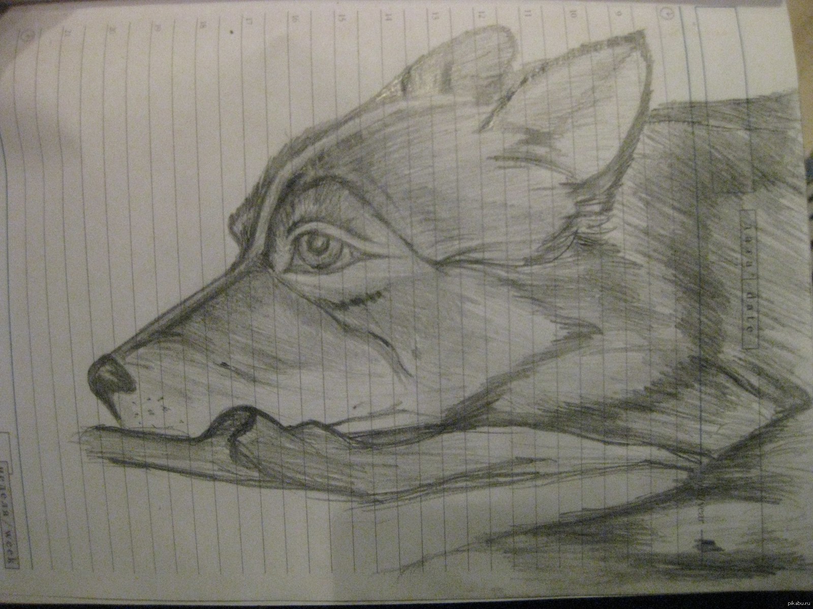 Mood - Wolf, Drawing, Simple pencil