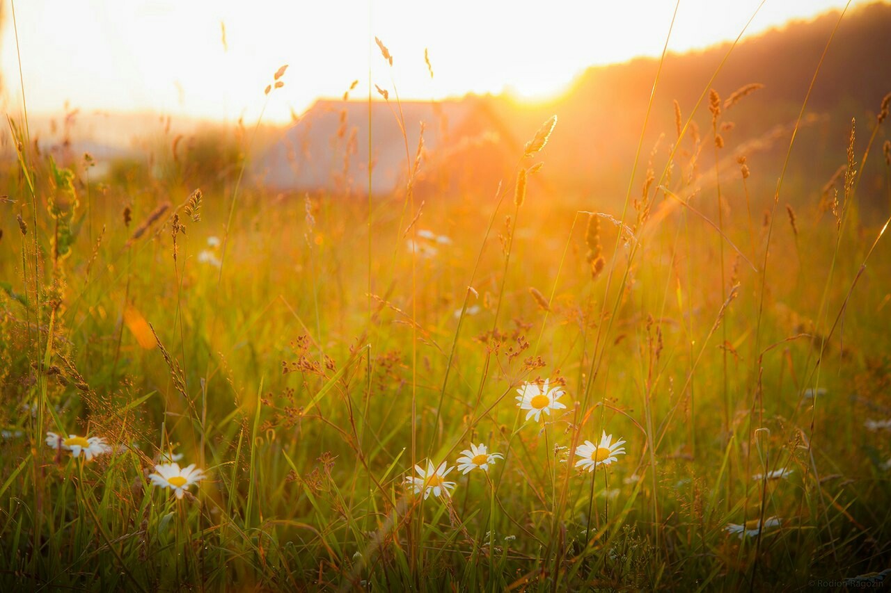 Evening in the Village - My, Perm Territory, The national geographic, Nature, Russia, Village, Summer, Ural