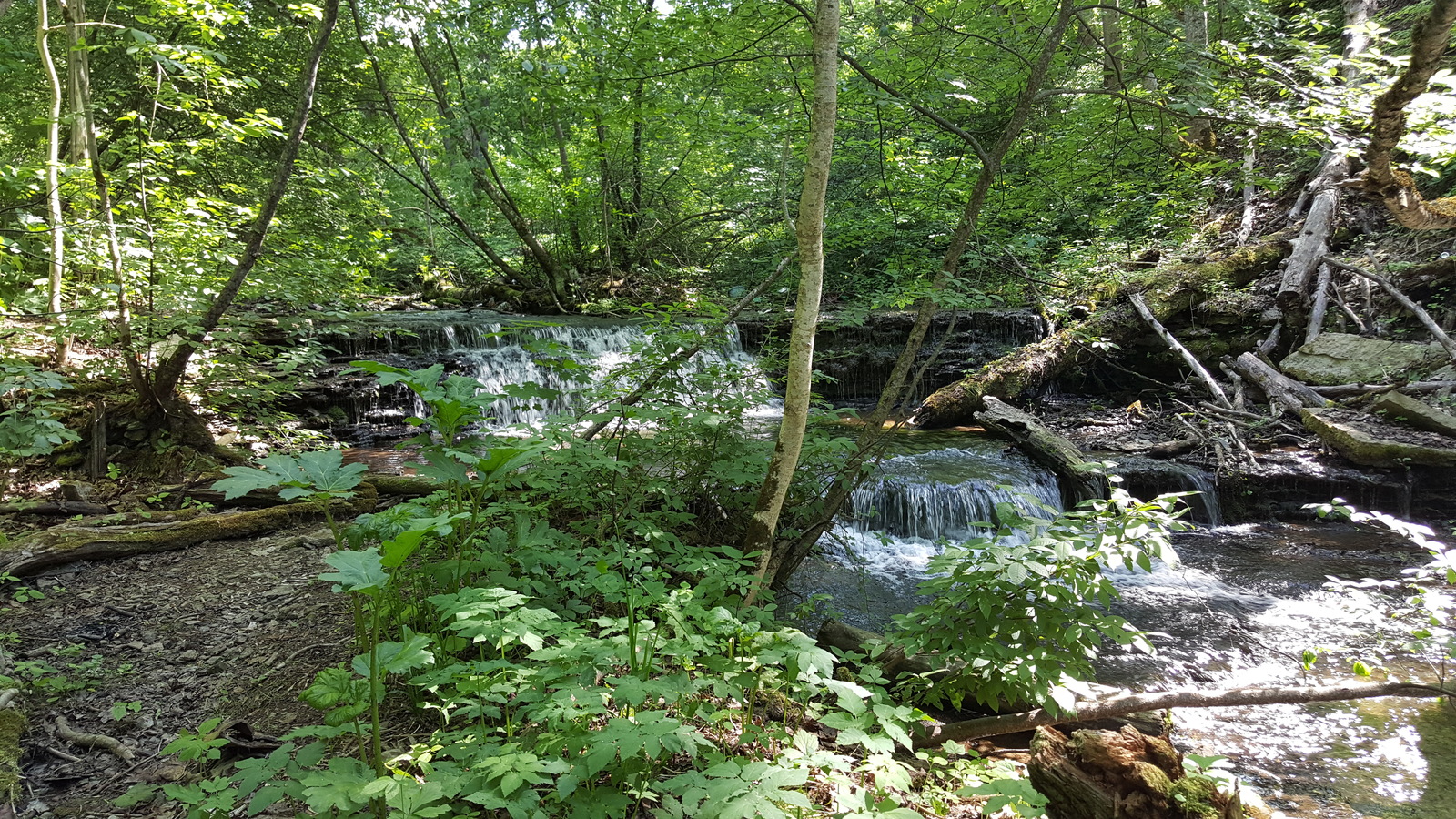 Waterfalls. Koporye. - My, Waterfall, Leningrad region, Koporye, Samsung Galaxy S6 Edge, Nature, Without processing, The photo, Longpost