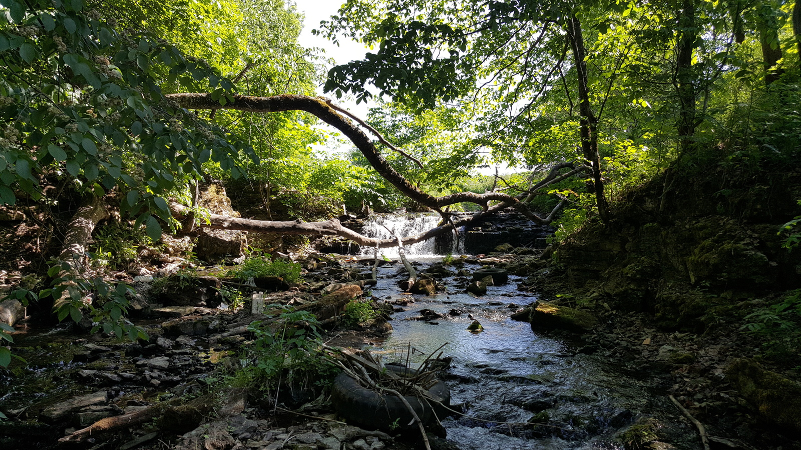 Waterfalls. Koporye. - My, Waterfall, Leningrad region, Koporye, Samsung Galaxy S6 Edge, Nature, Without processing, The photo, Longpost