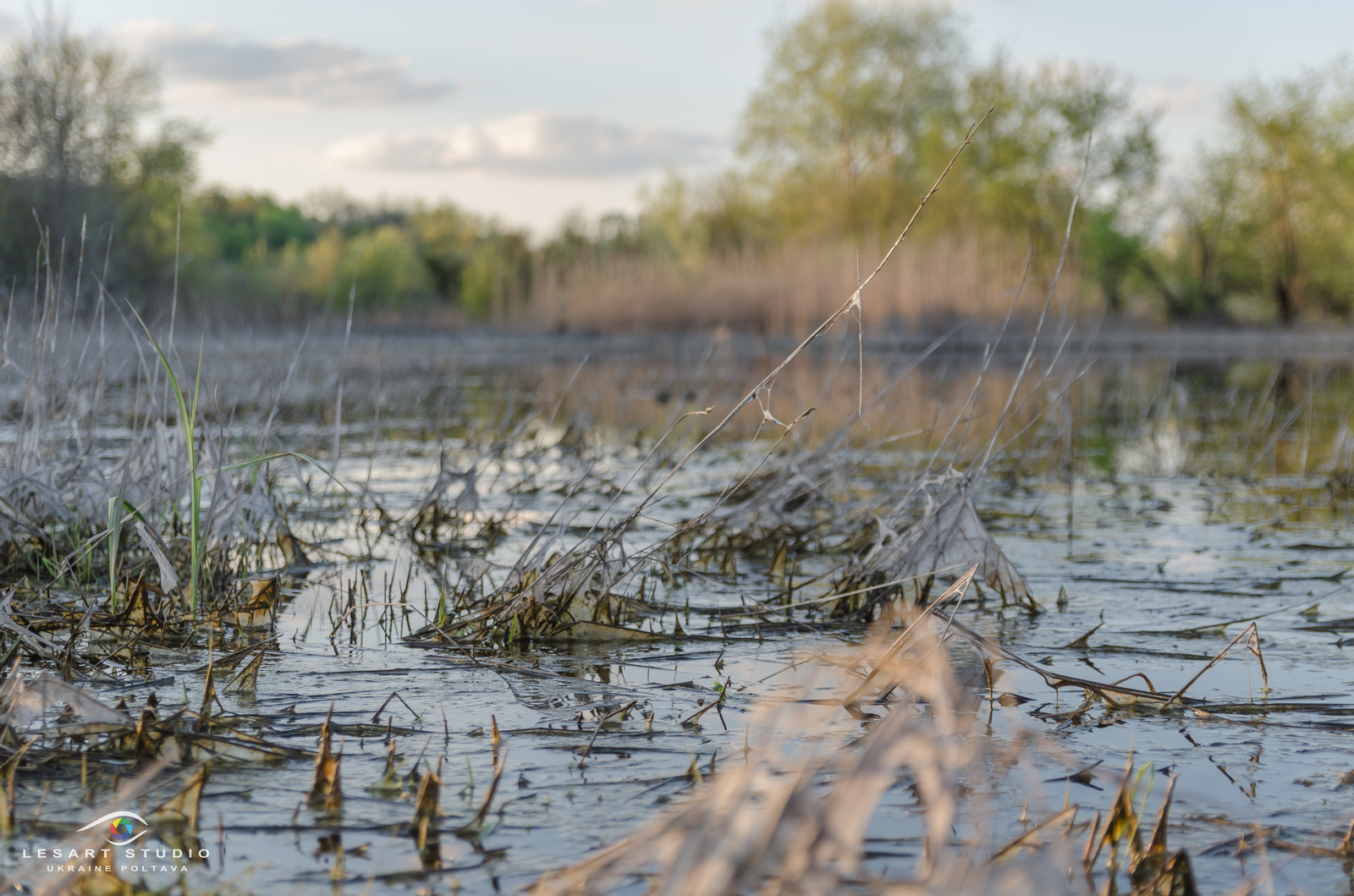 Overflow - My, The photo, Poltava, Nikon d5100, Longpost