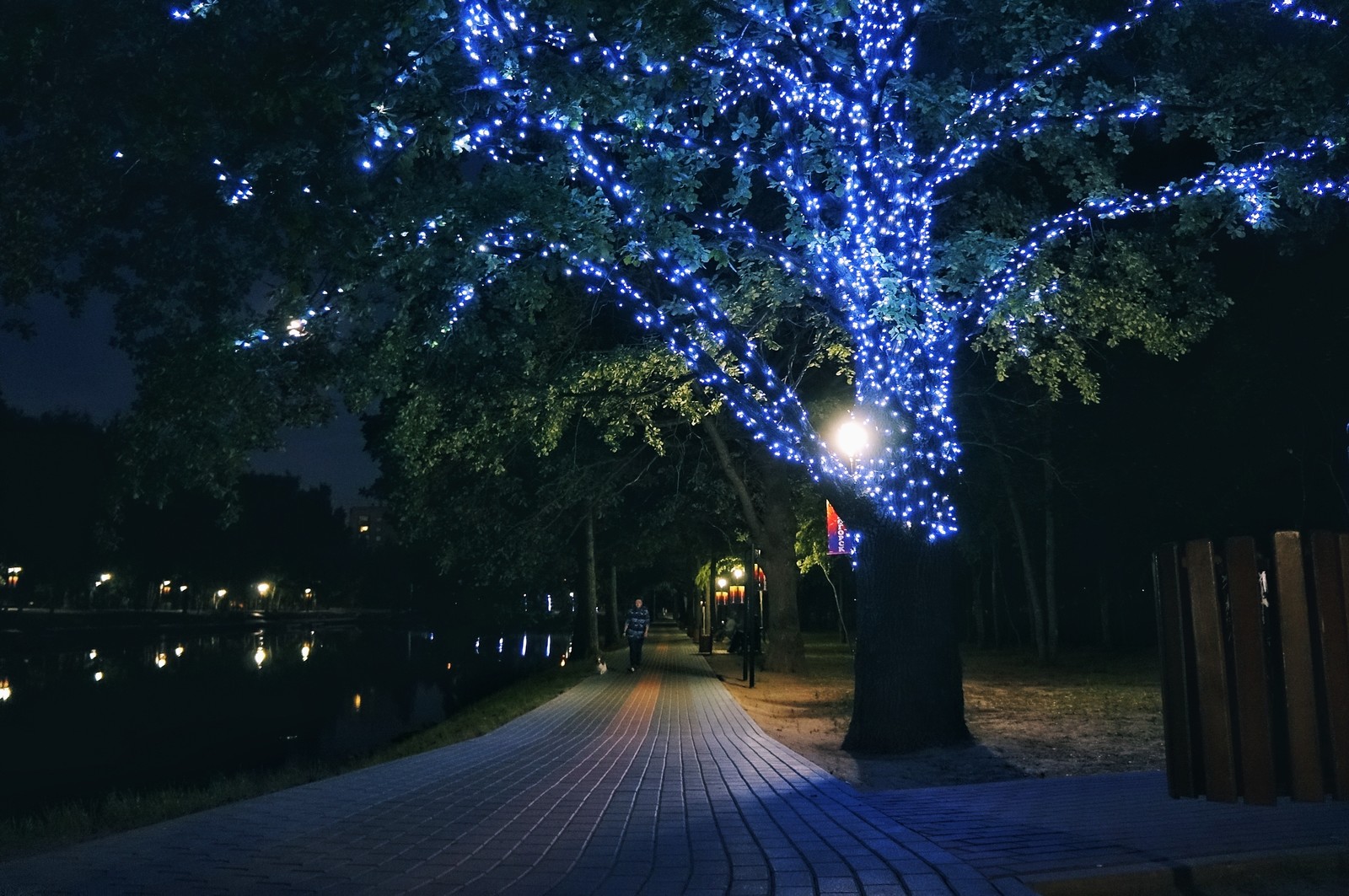 Night in Krasnogorsk - My, Night shooting, Pond, The photo, Krasnogorsk, Ivanovo Lakes, Longpost