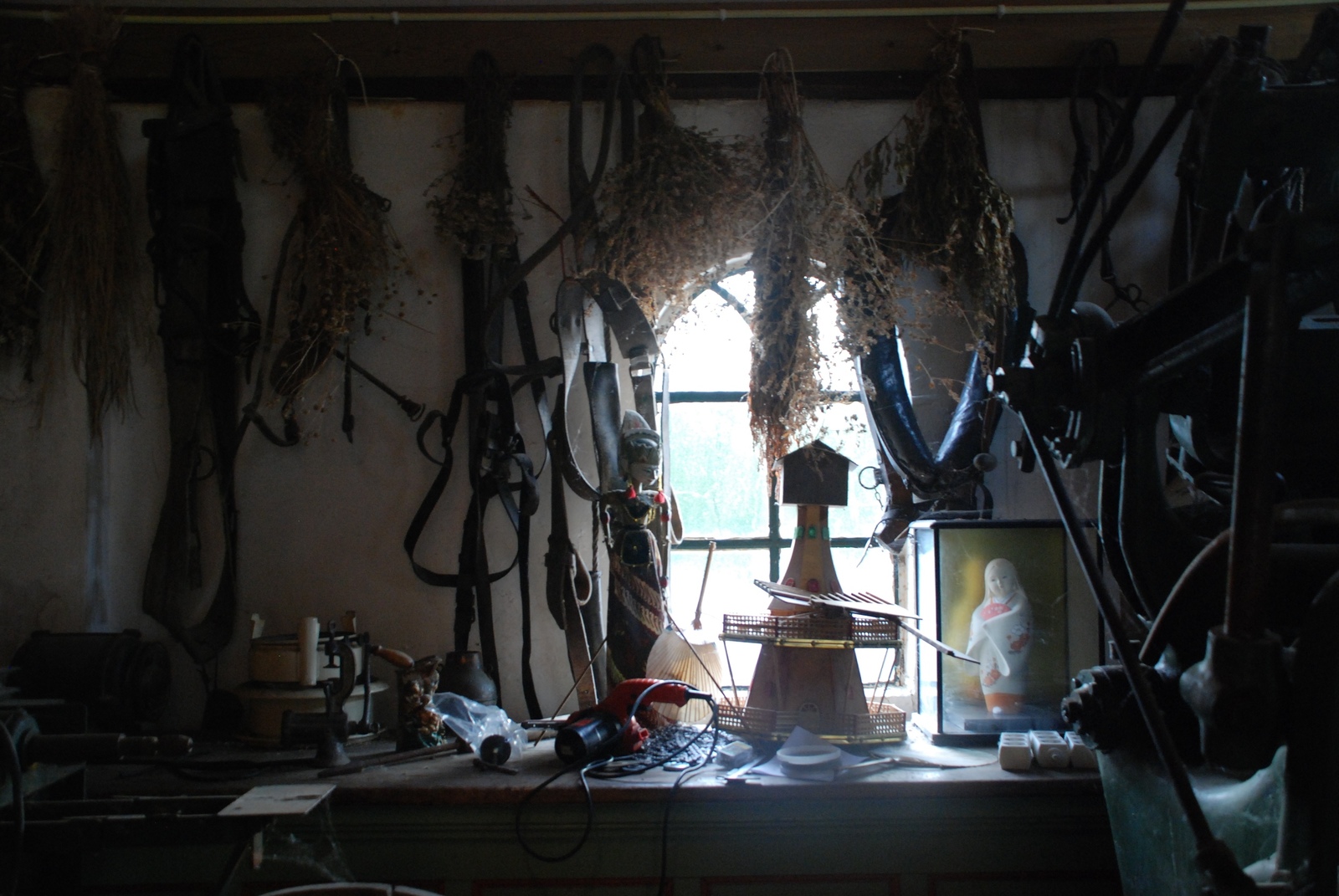 Aesthetics of a dairy farm in the Netherlands - My, The photo, Netherlands, Travels, People, Longpost, Netherlands (Holland)