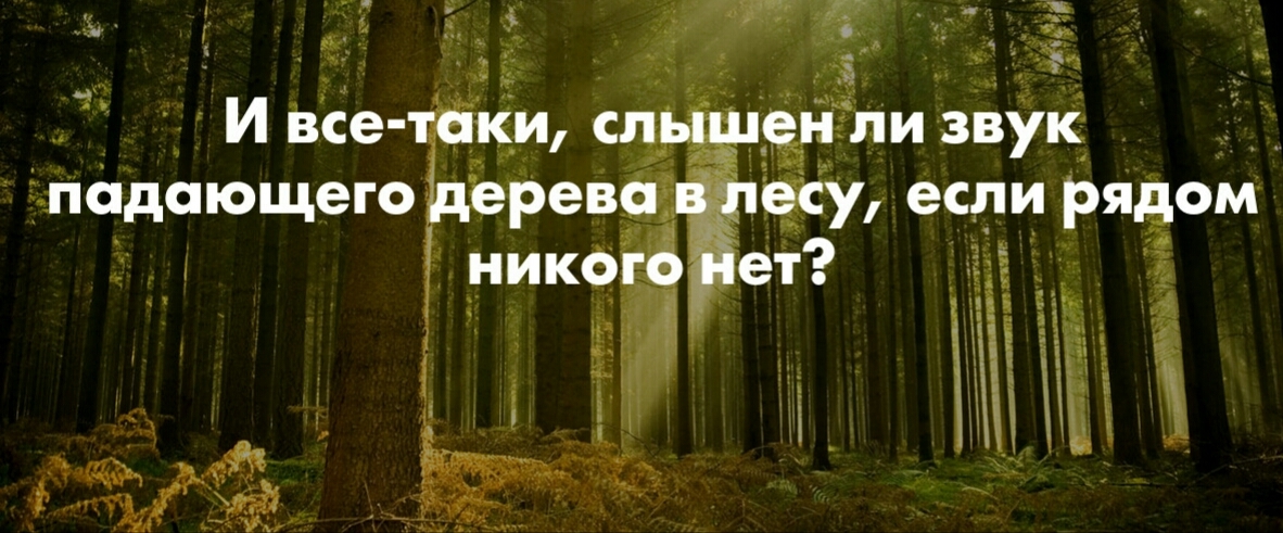 Текст деревья падают. Звук падающего дерева в лесу. Слышно ли звук падающего дерева в лесу если рядом никого нет. Слышен ли звук падающего дерева в лесу если рядом никого. Лес звучит.