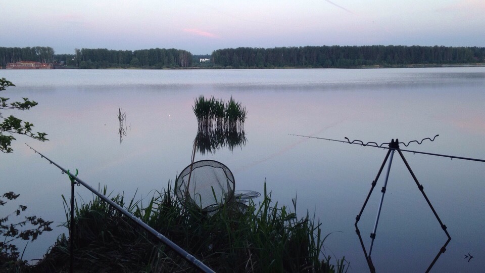 Long awaited week - My, Fishing, Nature, Longpost, The photo, Fishing rod, A fish, My, Relaxation