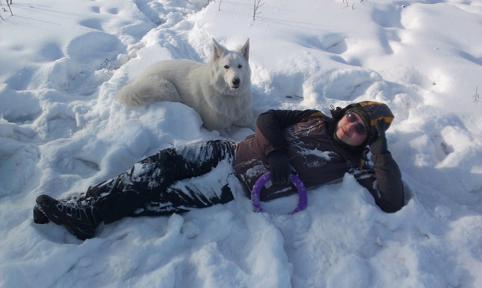 The life of a shepherd named Caesar. - My, Dog, White swiss shepherd, Longpost, The photo, Animals, Family