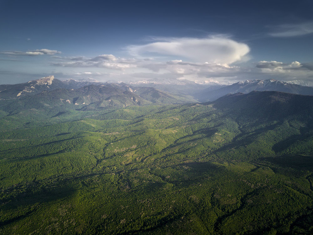 Фото евгения гора