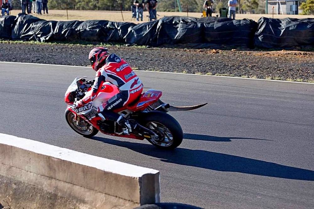 Australian Superbike Champion Brian Staring and a fearless kangaroo who wanted to compete with the pilot in the Morgan Park race. - Race, Moto, Australia, Kangaroo, Longpost