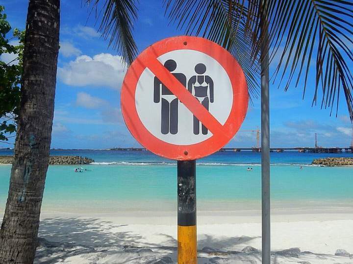 Blacks in white bathing suits are not allowed - Signs, Beach, Palm trees