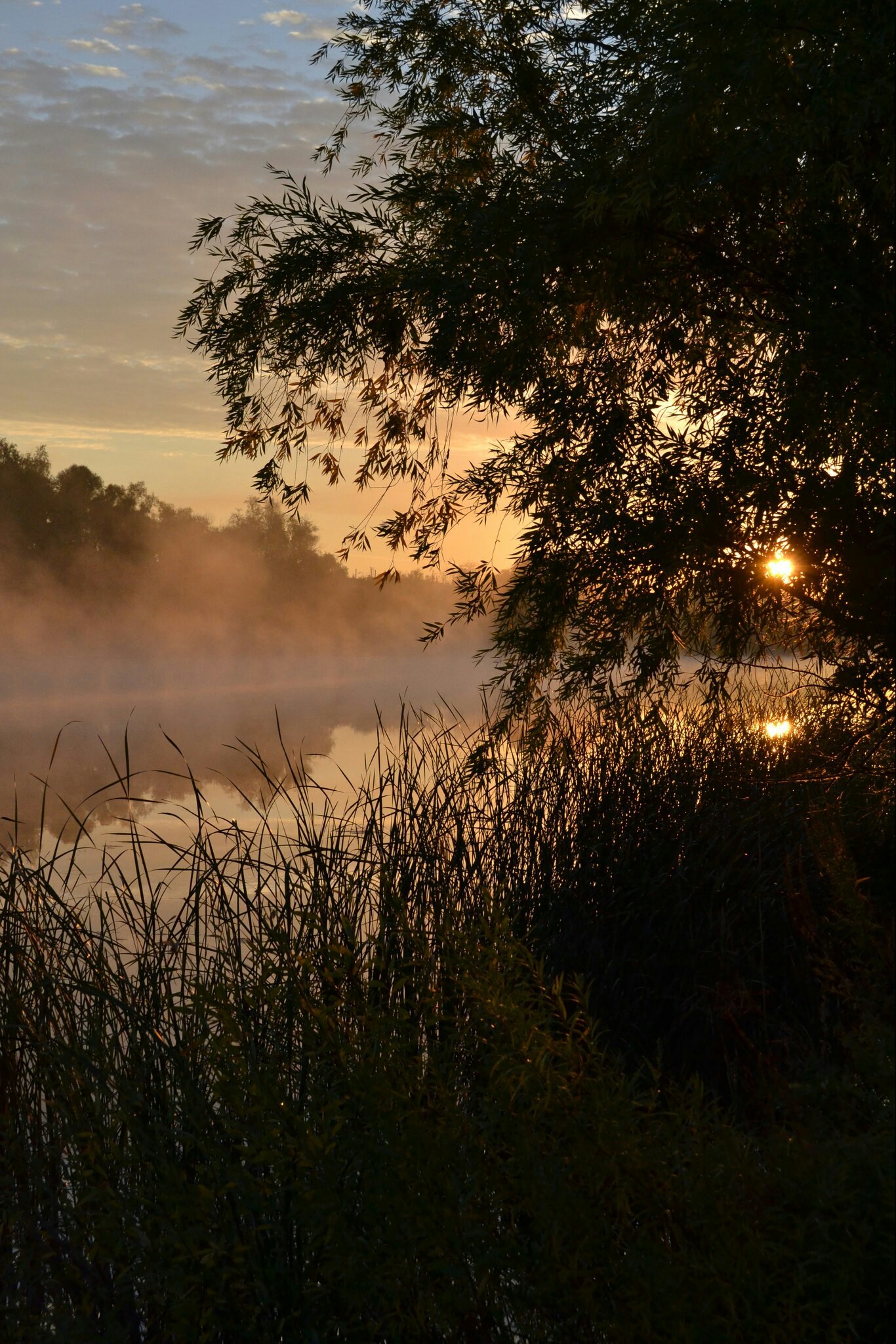 Dawn on the river Or. Nikon D3100 18-55 - My, The photo, dawn, River, Longpost