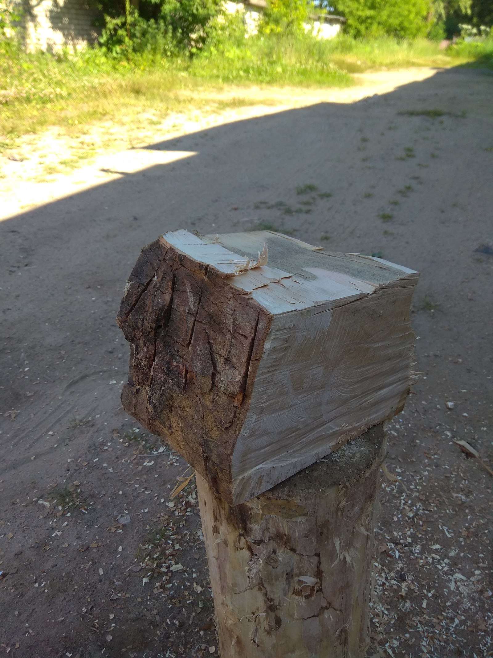 birch bowl - My, , Turning machine, Crooked hands, Woodworking, Video, Longpost