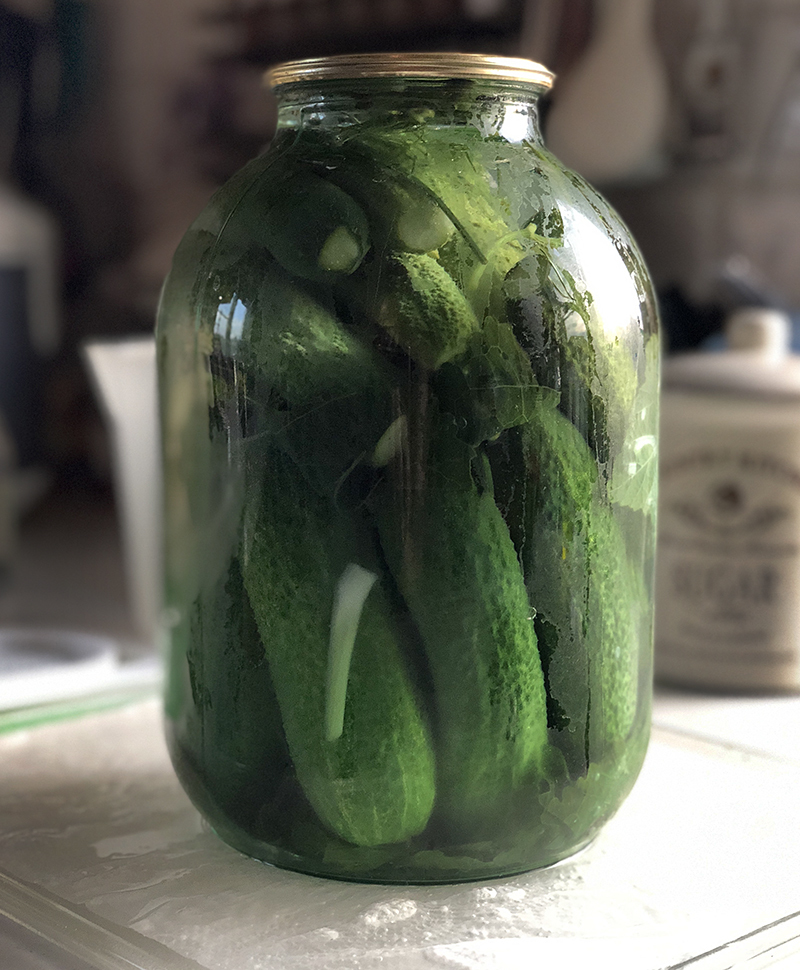 Cucumbers are everything. - My, Garden, Cooking, Salting, Longpost