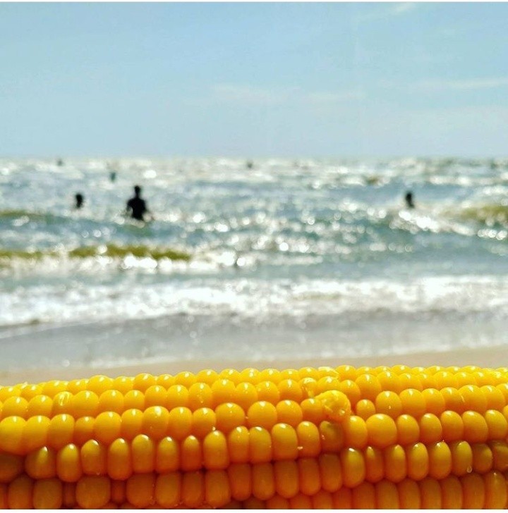 Some happiness ;) - Azov sea, Corn, Wave