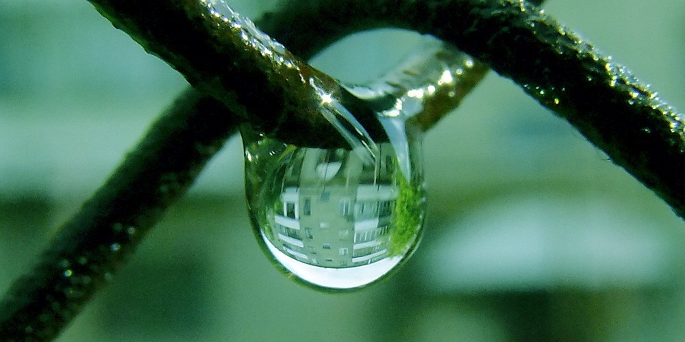 A drop - My, The photo, Shadrinsk, Macro, Macro photography