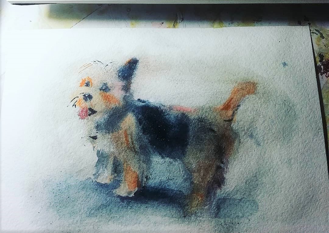 watercolor - My, Watercolor, Dog, Sketch, Drawing, Animals, Animalistics