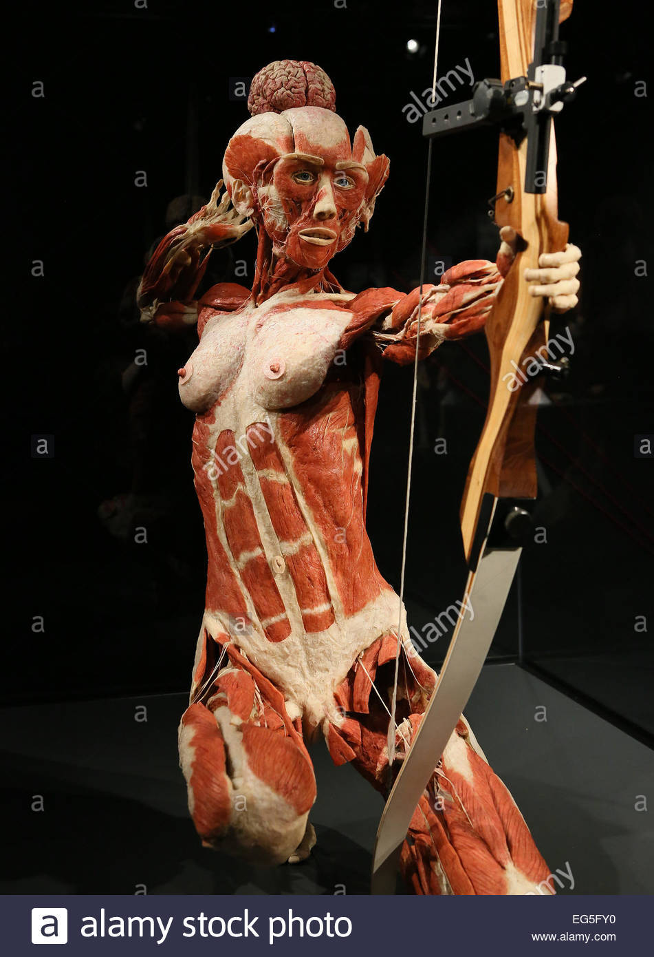 Plastination - insanity or art? - Plastination, Mummy, , Exhibition, , Dead body, Longpost, GГјnther von Haggens