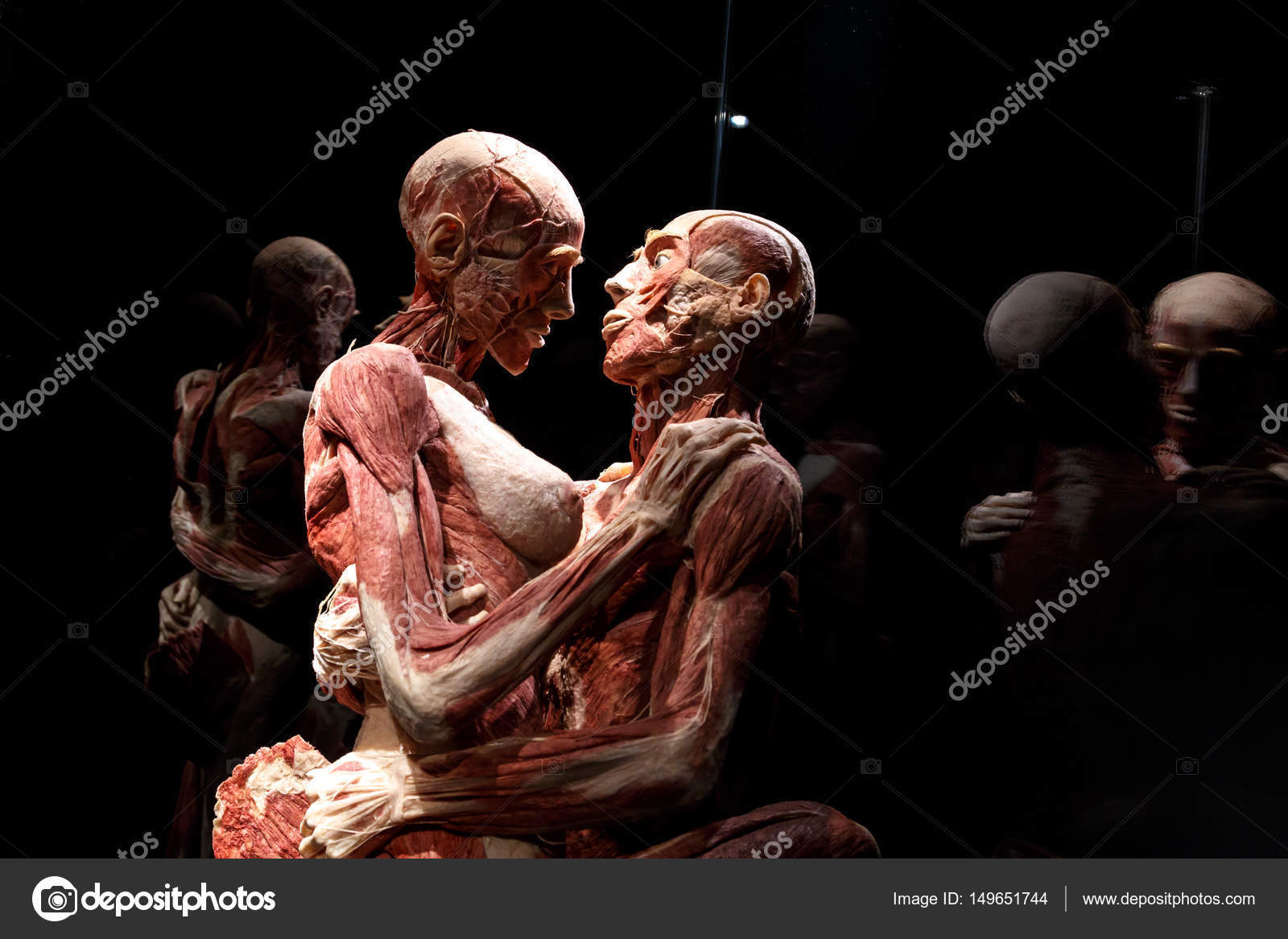 Plastination - insanity or art? - Plastination, Mummy, , Exhibition, , Dead body, Longpost, GГјnther von Haggens