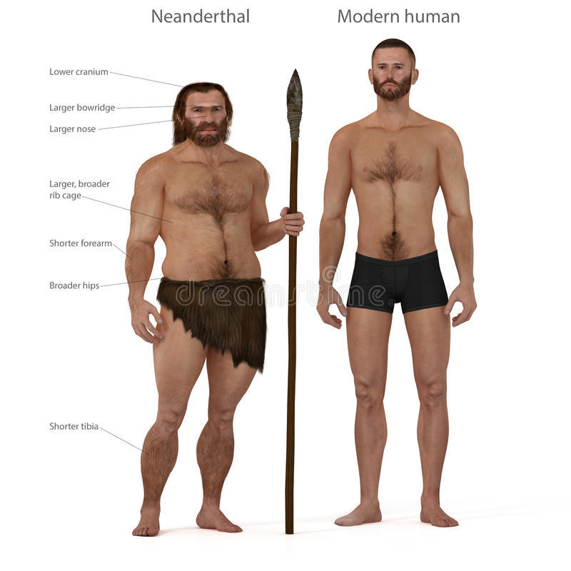 Неандертальцы. | Пикабу