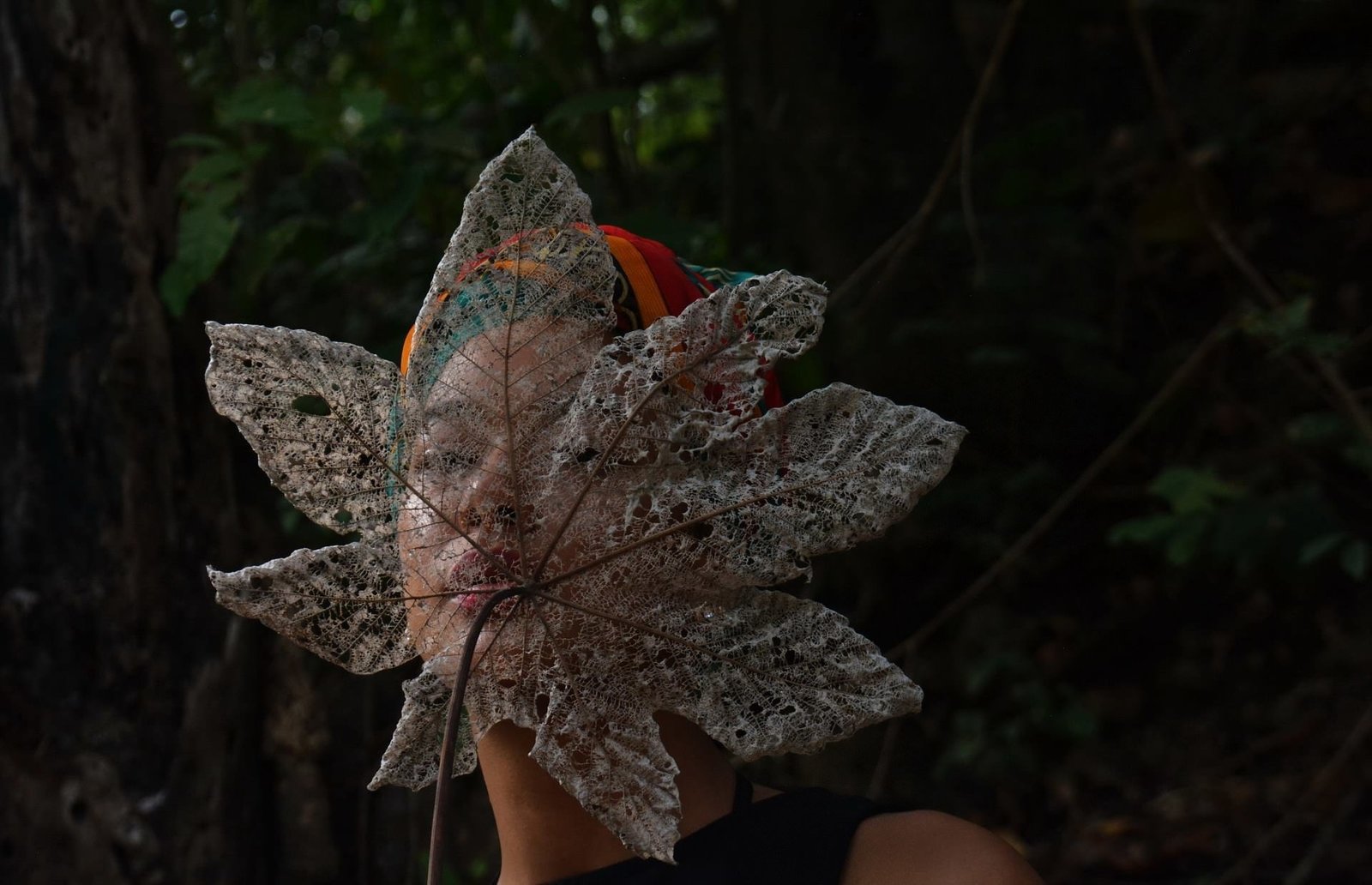 The Nature Conservancy Photo Contest Winners - The photo, Competition, , Longpost