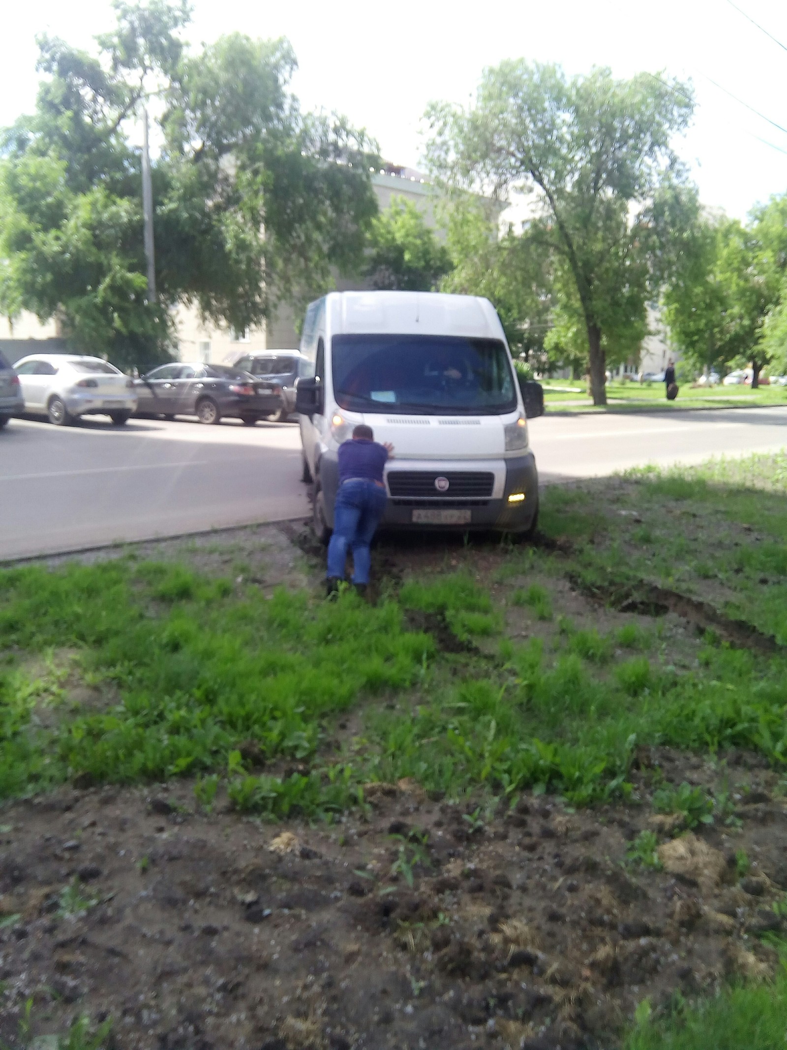 Parking? No, lawn is better. - My, Barnaul, Parking, Longpost