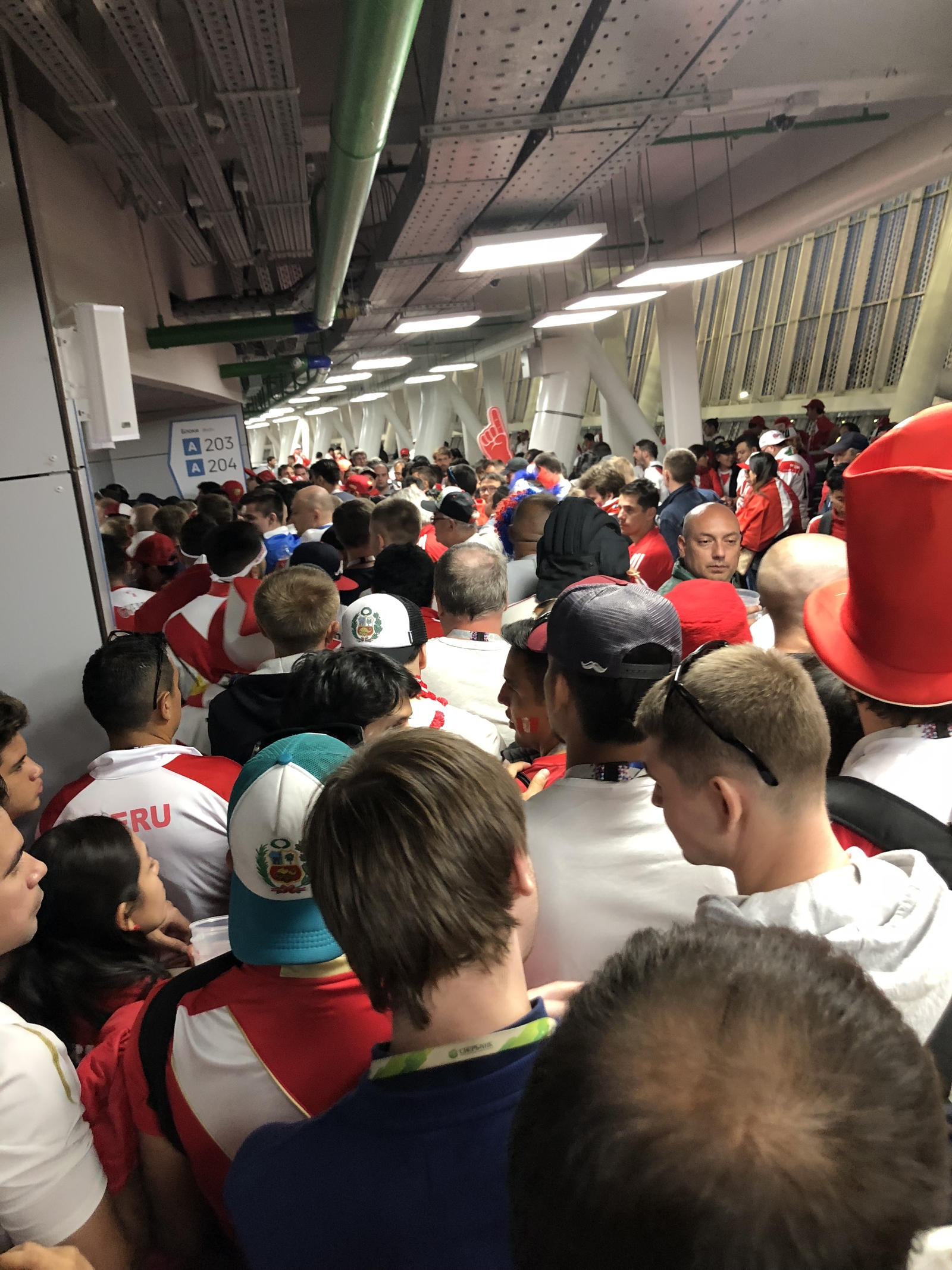 How did I get through this... - My, Football, 2018 FIFA World Cup, Travels, Saransk, Travel across Russia, Longpost