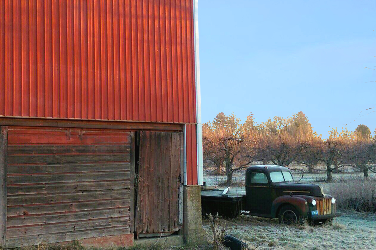 Early Morning in the Michigan Outback - My, America, USA, One-Story America, Abandoned, Backwoods, Provinces