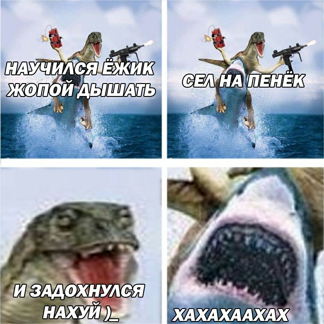 Сел на ежа