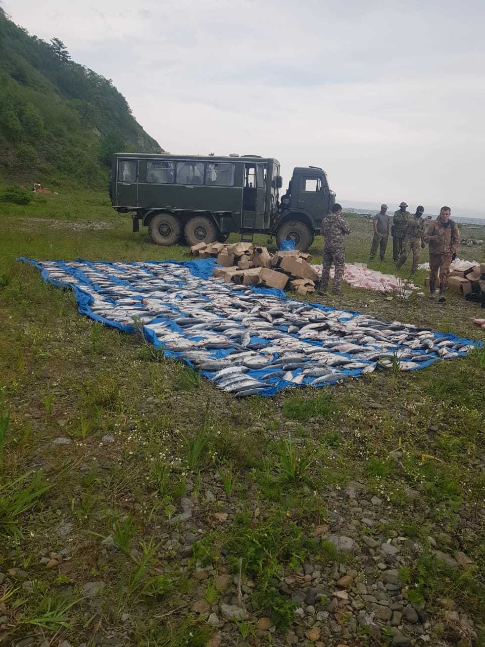 А тем временем в Магадане началось - Магаданская область, Краб, Рыба, Рыбалка, Длиннопост, Браконьеры