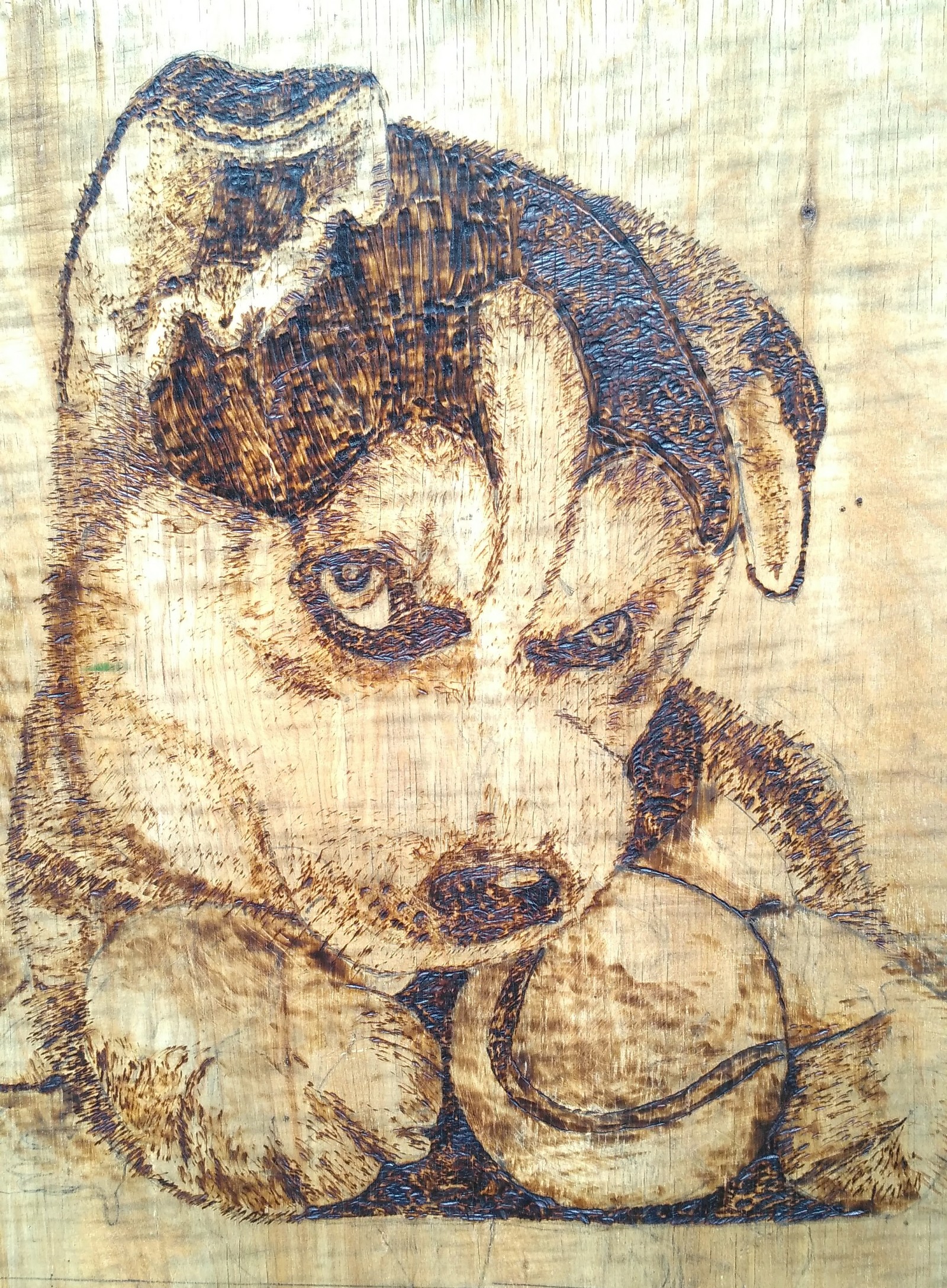 dog watchdog - My, Burning out, Pyrography, Dog, Images, Needlework without process