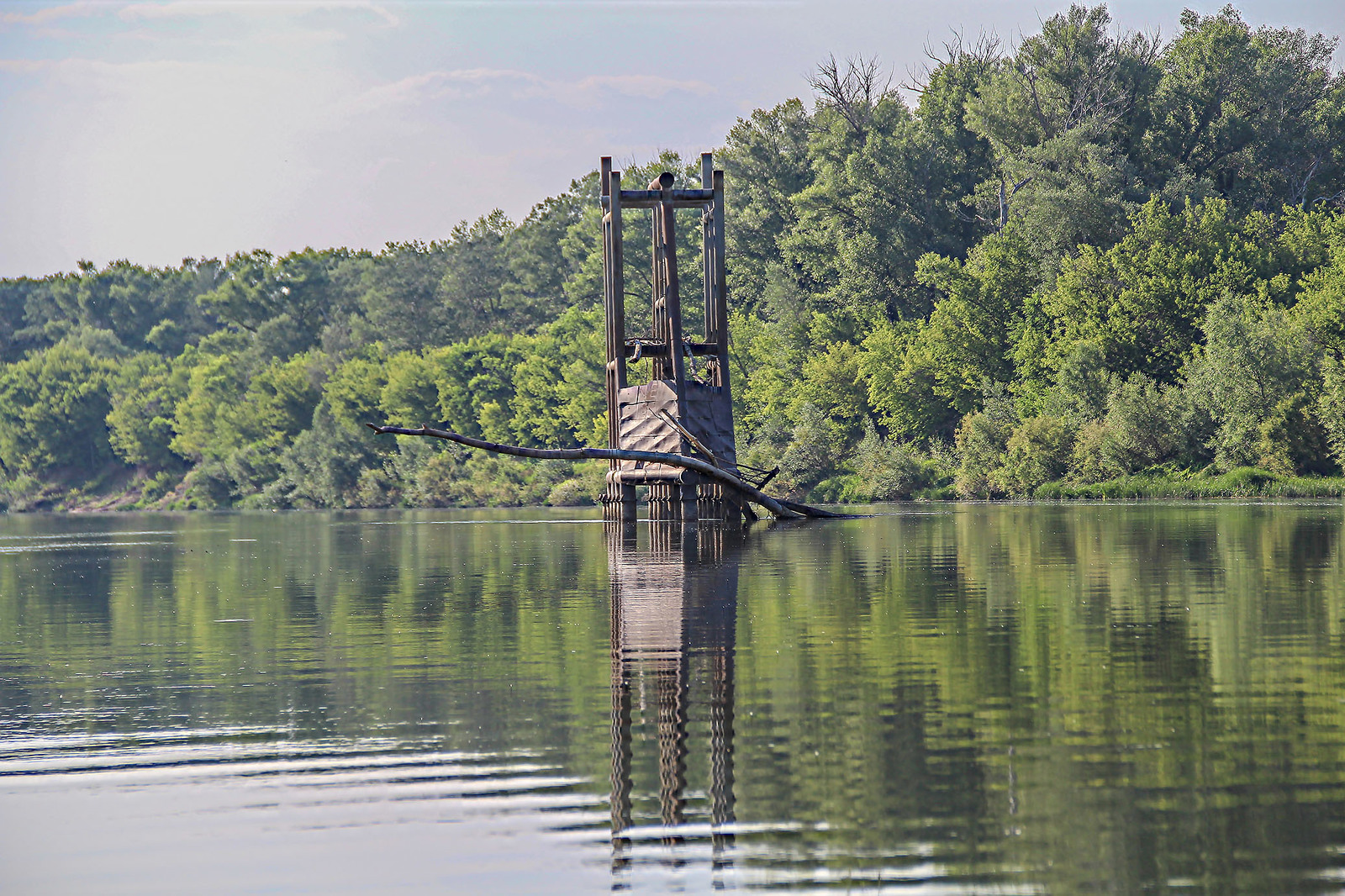 A bit of the Ural River in your feed - My, Ural, River, Alloy, Nature, Animals, Longpost