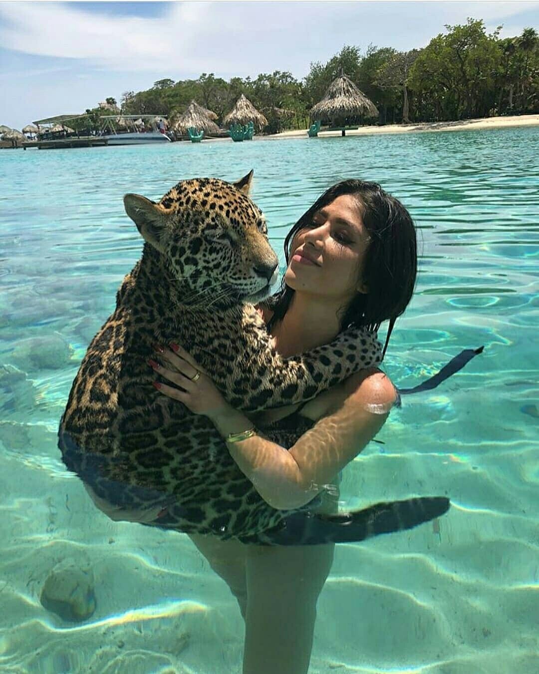 Bathing a jaguar - The photo, Jaguar, Longpost, Beautiful girl