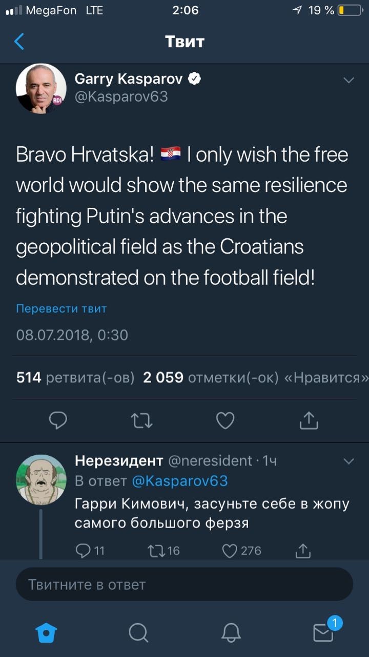 Roomy Kasparov - NSFW, 2018 FIFA World Cup, Twitter, Longpost