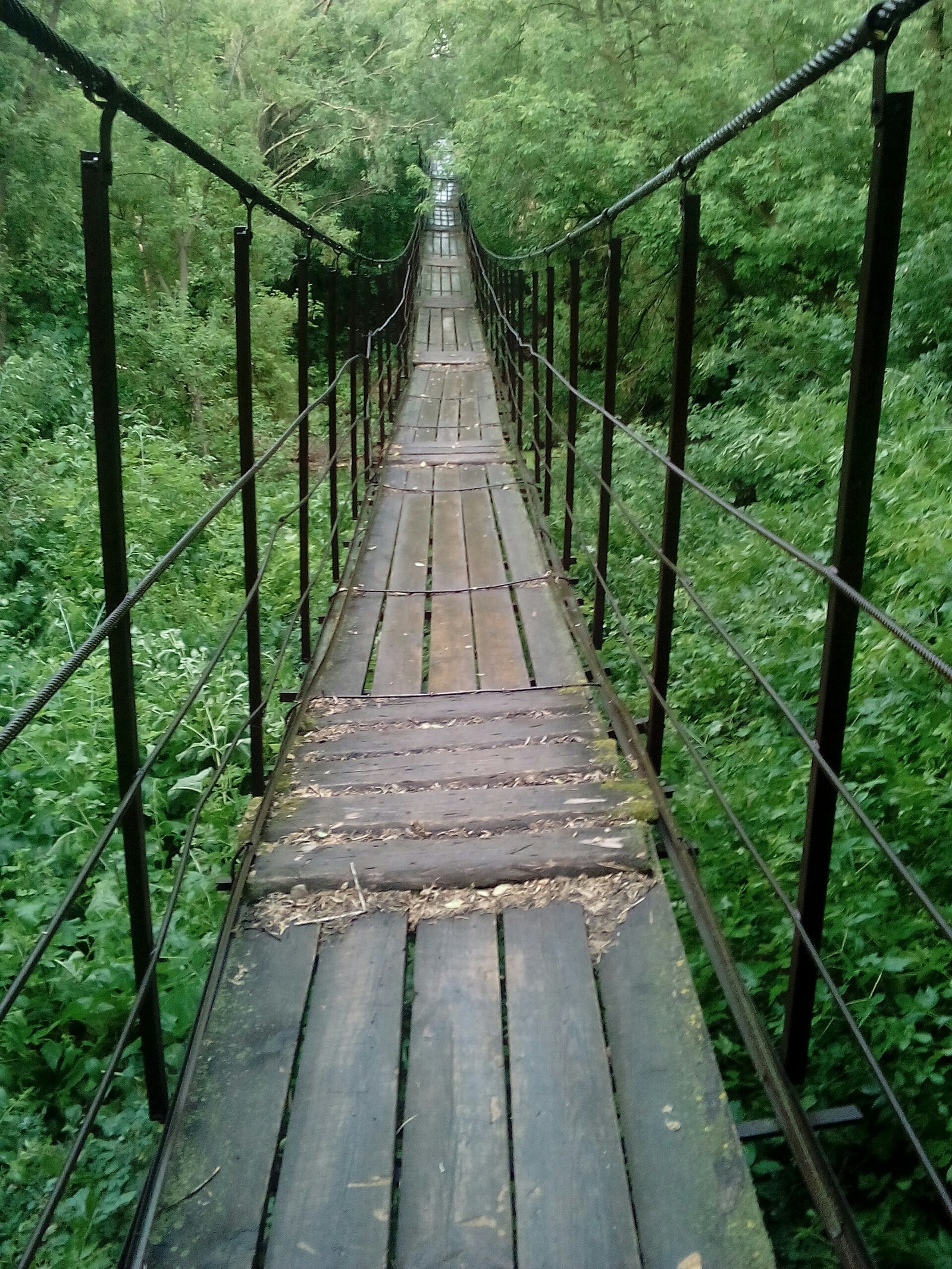 Как построить подвесной мост в Sons of the Forest