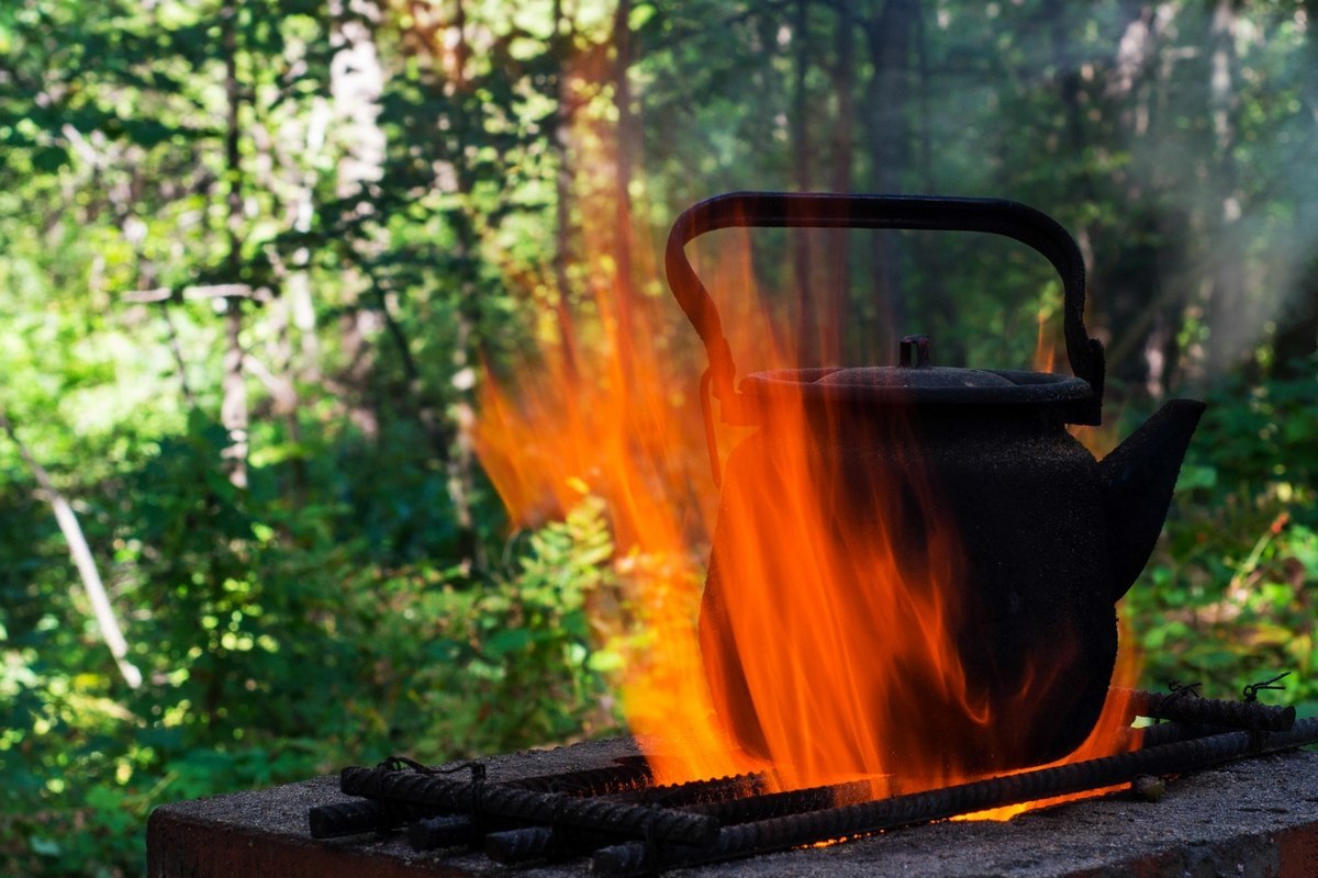 forest tea - My, The photo, Forest, Kettle, Fire, Bake